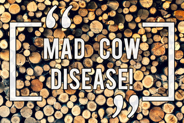 Writing note showing Mad Cow Disease. Business photo showcasing Neurodegenerative lethal disease contagious eating meat Wooden background vintage wood wild message ideas intentions thoughts