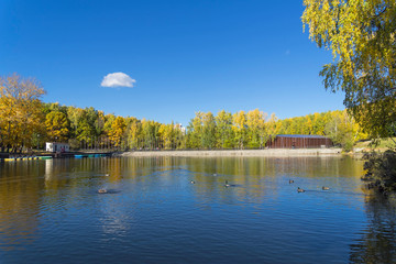 Beautiful autumn landscape