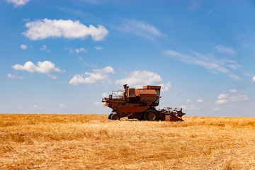 Fototapeta premium The harvester harvests wheat on the field. Agriculture. Summer landscape