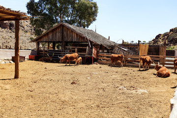 Wild west and wooden shed and fence in the old town.