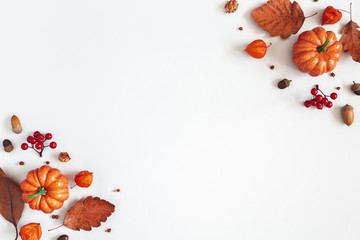 Autumn composition. Dried leaves, pumpkins, flowers, rowan berries on white background. Autumn,...