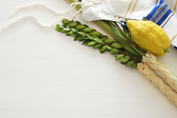 Jewish festival of Sukkot. Traditional symbols (The four species): Etrog, lulav, hadas, arava