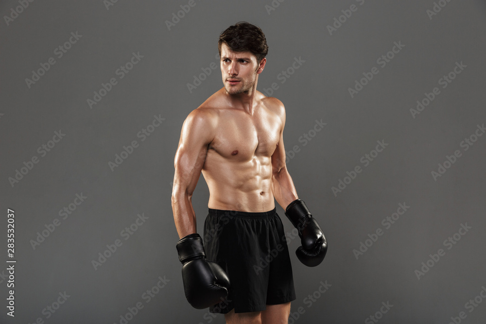 Sticker Concentrated handsome young strong sportsman boxer in gloves posing isolated over grey wall background.