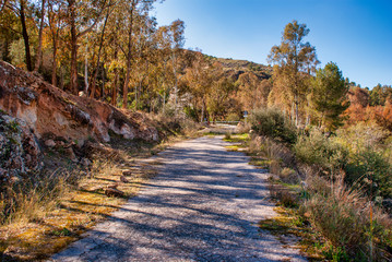 Antigua carretera de Beninar