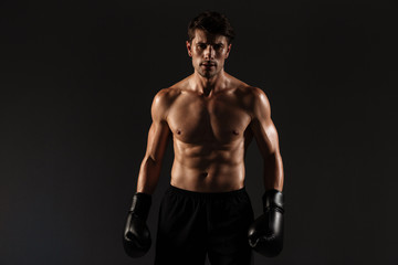 Plakat Concentrated strong handsome young sportsman boxer in gloves posing isolated over black wall background.