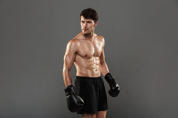 Fototapeta na wymiar Concentrated handsome young strong sportsman boxer in gloves posing isolated over grey wall background.