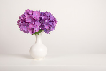 Minimalistic white still life with blooming pastel colored hortensia flowers in a white vase in a white interior with space for copy