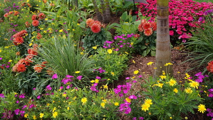 flowers in the garden