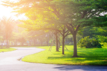 The sun is shining in the morning at Walkway in the park , Landscaping area.