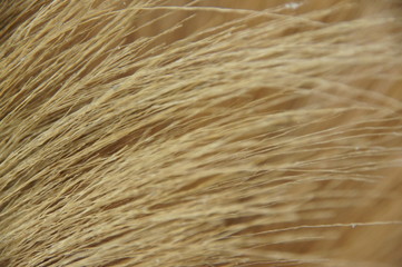 the figure from the top of the broom is made from a tree of grass. the handle is made of bamboo