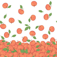 Seamless border with hand drawn colored red apples with leaves vector illustration