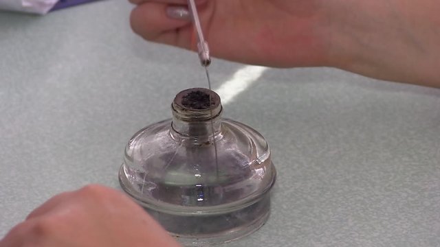  Bacteriological analysis. Laboratory. Staphylococcus Bacterium