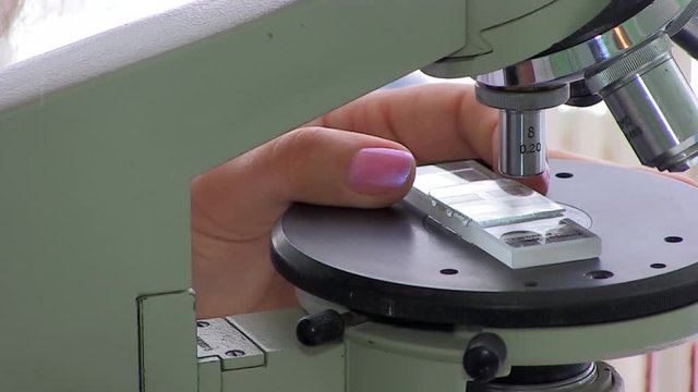  Bacteriological analysis. Laboratory. Staphylococcus Bacterium