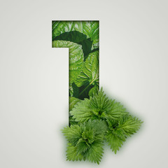 1 number one. Nature concept. Creative number with nettle leaves on a gray background. Creative typography, Chapter in the presentation, template.