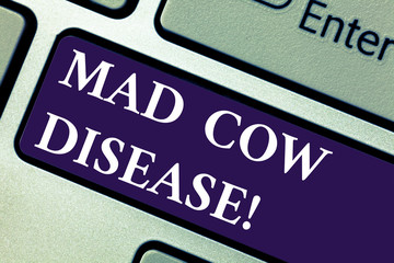 Word writing text Mad Cow Disease. Business concept for Neurodegenerative lethal disease contagious eating meat Keyboard key Intention to create computer message pressing keypad idea
