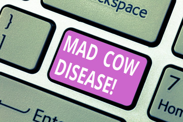 Text sign showing Mad Cow Disease. Conceptual photo Neurodegenerative lethal disease contagious eating meat Keyboard key Intention to create computer message pressing keypad idea