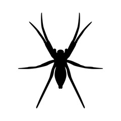 Spider silhouette on a white background, for design. Vector illustration.