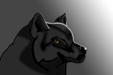 illustration of wolf in the dark highlighted in moonlight