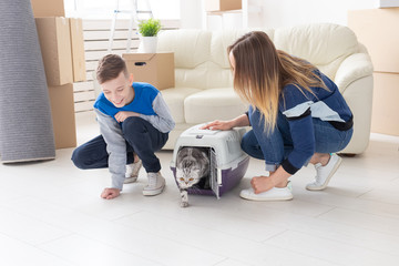 Slim young mother and little son launch their beautiful gray Scottish Fold cat into their new apartment in the living room. The concept of tradition with housewarming.