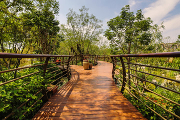 Traditional Chinese City Garden Park.