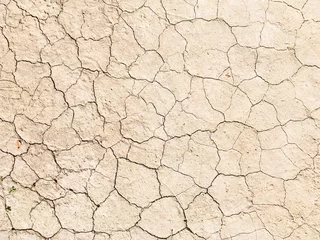 Fotobehang Dried cracked earth soil ground texture background © Nastya Tepikina