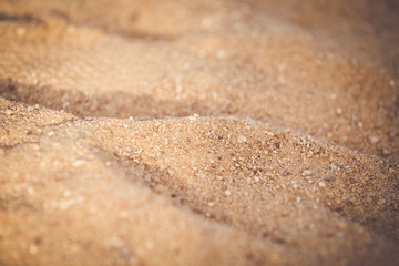 Fototapeta na wymiar Golden sand beach summer background