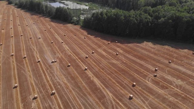 Rolowany snopek słomy na polu na wsi