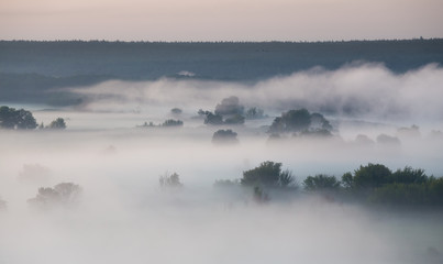 Obraz na płótnie Canvas Morning foggy valley with trees