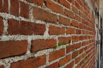 Another brick in the wall