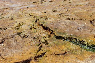 Cracked Soil
