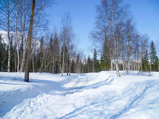 Snowy winter road in the forest on a sunny day in the north-west of Russia.