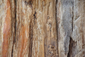 Obraz premium tło, stara drewniana ściana, wzór drewna