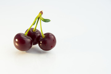 large ripe cherry berries on a white background with water drops green leaf and branch close-up