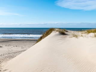 Fototapeta na wymiar landscape with sand and grass, North Sea coast
