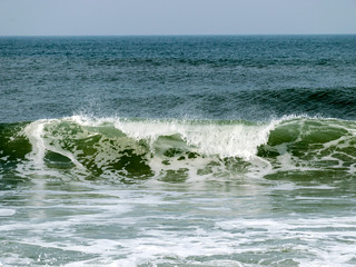 landscape with waves ashore with horizon and gray sky