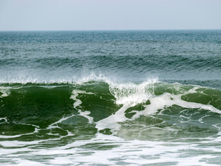 landscape with waves ashore with horizon and gray sky
