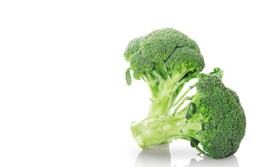 broccoli on a white background