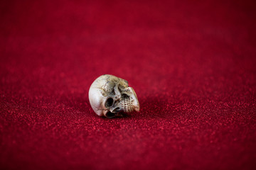Red background and cute skull Harovine concept