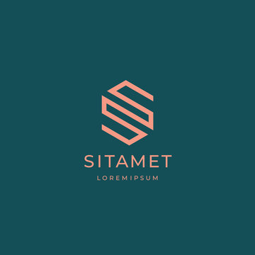 Modern Creative  Letter S Logotype. Abstract Business Logo. Creative Dynamic Logotype. Connection Symbol.