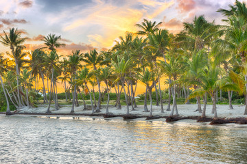 Anse Chamapgne beach in Guadeloupe
