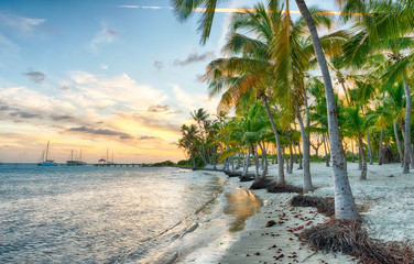 Anse Chamapgne