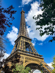 Eiffel Tower on a sunny day through trees