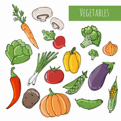 Colored Doodle vegetables isolated on white background.
