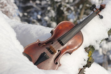 Violin on snow. Old brown wooden violin with 4 strings is outside (outdoors) on white cold snow...