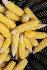 Corn cob is delicious at street food