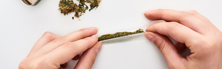 cropped view of woman rolling joint with marijuana, panoramic shot