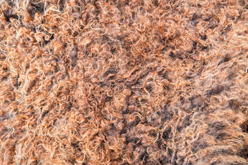 Close up of natural brown fur texture background
