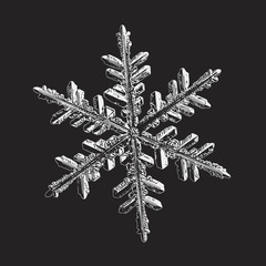 Snowflake isolated on black background. Vector illustration based on macro photo of real snow crystal: beautiful stellar dendrite with complex, elegant arms, ornate shape and glossy, relief surface.