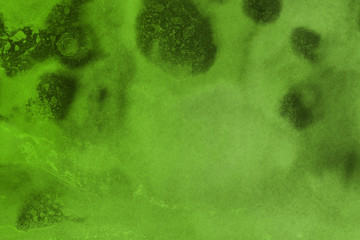 Hand painted alcohol ink background. Abstract delicate green texture. Contemporary wallpaper. 