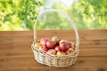 fruits, food and harvest concept - ripe apples in wicker basket on wooden table over green natural background